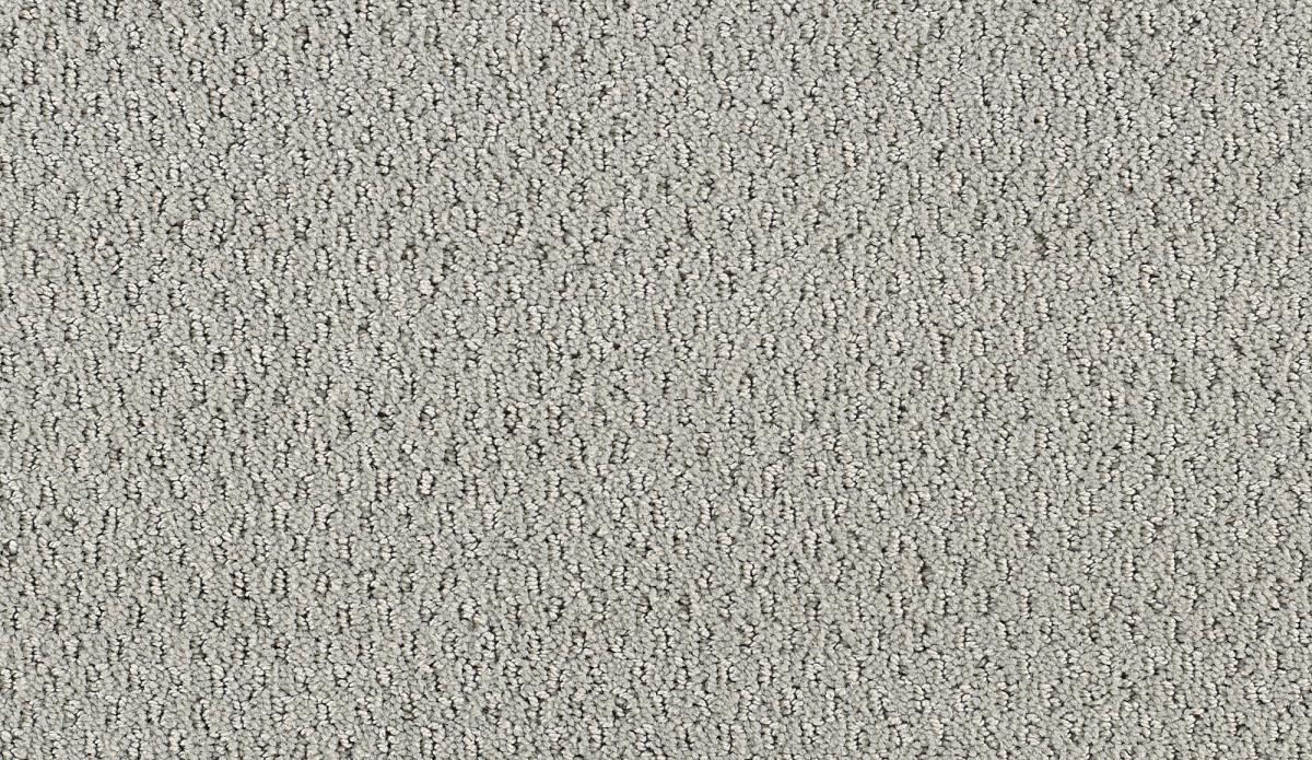 light colored carpet